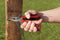 Black&Decker BDHT0-28110 Multi tool 12-in-1