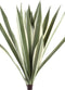 PTMD Agave Kunsttak - 31 x 31 x 48 cm - Groen
