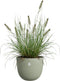 Elho Sereh Rond 60 - Grote Bloempot - 100% Gerecycled Plastic - Ø 59 x H 50.6 cm - Scandinavisch groen