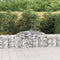 vidaXL - Schanskorven - 15 - st - gewelfd - 300x30x60/80 - cm - gegalvaniseerd - ijzer