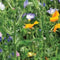 Customize it - Tuindoek bloemenveld 210x140cm