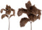 PTMD Leaves Plant Lamsoor Kunsttak - 20 x 24 x 40 cm - Donker bruin