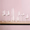 Iittala Essence - Wijnglazen Witte Wijn – Vaatwasserbestendig - Transparant - 33 cl – Set van 6 Glazen