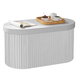 Woltu Opbergbank Velvet - Donkergrijs - 76 x 38 x 38 cm - Opvouwbare Opbergkist met Afneembaar