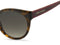 TOMMY HILFIGER TH1885/S - Zonnebril - UV-bescherming 3 - Bruin