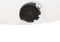 vidaXL - Kerstboog - opblaasbaar - met - LED's - 320 - cm