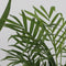 Plant in a Box - XL Indoor Palm Mix - Mix van 3 - Groene kamerplanten - Palmen - Areca, Dracaena, Yucca - Pot 17cm - Hoogte 70-90cm