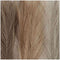 Creativ Company Pampasgras, l: 50 cm, lichtbeige, lichtbruin, lichtgrijs, 3 stuk / 1 bundel