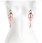 Nipple Clamps C3