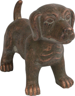 Dog Sita bruin