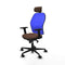 Piqueras y Crespo 2D036N2 - Bureaustoel - Verstelbare hoogte hoofdsteun - Blauw Donkerbruin