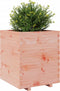 vidaXL - Plantenbak - 60x60x72,5 - cm - massief - douglashout