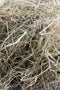 Divro Hooi - Knaagdier - Gezonde darmflora - (4 stuks)