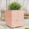 vidaXL - Plantenbak - 60x60x72,5 - cm - massief - douglashout