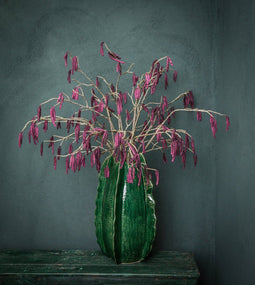 PTMD Twig Plant Botanical Catkins Kunsttak - 48 x 20 x 98 cm - Bruin