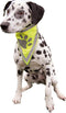 Trixie Reflecterende Bandana Geel - Hondenkleding - Xs/S 22-28 Cm