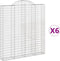 vidaXL - Schanskorven - 6 - st - gewelfd - 200x30x220/240 - cm - ijzer