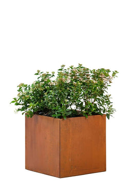 Tuindeco - Bloembak Hudson klein 50x50x50 cm Tuindeco