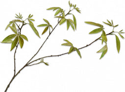 Silk-ka Kunstbloem-Zijden Bloem-Kunsttak Esdoorntak Groen 92 cm