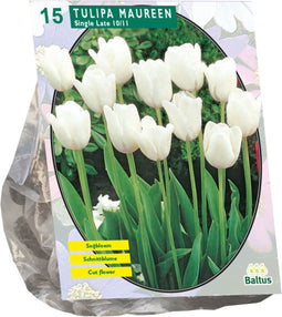 Baltus - Bollen Tulipa Maureen 15 stuks