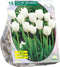 Baltus - Bollen Tulipa Maureen 15 stuks
