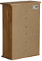 vidaXL - Hangkast - HALDEN - met - schuifdeur - 49x22,5x70 - cm - grenenhout