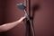 Hansgrohe Raindance Alive S Puro - Showerpipe - Ecostat thermostaat - 300mm - 1 straalfunctie - Chroom
