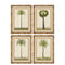 Schilderij Home ESPRIT Groen Natuurlijk Palmen Tropisch 45 x 2,5 x 60 cm (4 Stuks)
