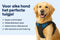 Flamingo Balou - Harnas hond - Anti trek - Maat M A:32-56cm B:50-65cm - Blauw