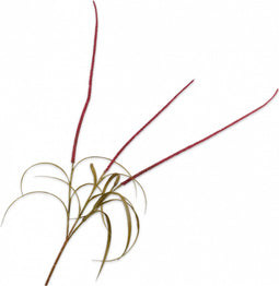 Silk-ka Kunstbloem-Zijden Bloem-Kunsttak Gras Tak Rood 135 cm