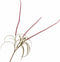 Silk-ka Kunstbloem-Zijden Bloem-Kunsttak Gras Tak Rood 135 cm