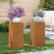 vidaXL - Buitenplantenstands - Pilaar - 2 - stuks - 24x24x55 - cm - Verweerd - Staal