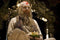 Imaginarium Of Doctor Parnassus (S.E.) (Blu-ray)