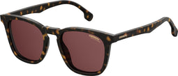 CARRERA 143/S - Zonnebril - Copper lenzen - Bruin