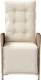 vidaXL - Tuinstoel - verstelbaar - met - voetensteun - poly - rattan - beige