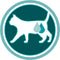 Purina ONE Adult - Kattenvoer Droogvoer - Zalm & Volkoren Granen - 3 kg