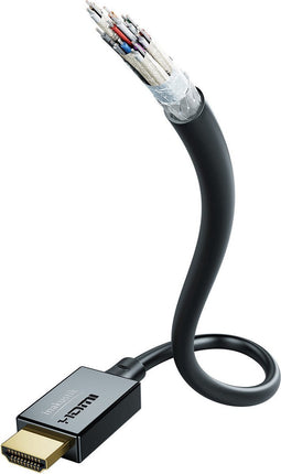 Inakustik 00324610 HDMI kabel 1 m HDMI Type A (Standaard) Zwart