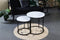 Plant in a Box - Druivenplanten - Set van 3 - Vitis Vinifera - Rode Druif - Winterhard - Pot 9cm - Hoogte 25-40cm