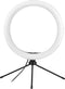 Influence - LED ring 10