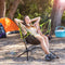 Innovagoods - Campingstoel - Opvouwbare Campingstoel - Vouwstoel -