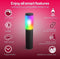 Innr slimme buitenverlichting uitbreiding sokkel color - is geschikt voor Philips Hue* - 16 miljoen kleuren en alle wittinten - Zigbee smart outdoor - dimbaar en tunable