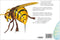 Insecten - Meest angstaanjagende