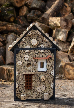 Insectenhotel de Langpoot 20x50x90 cm