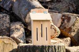 Insectenhotel de Nachtvlinder 20x20x45 cm