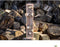 Insectenhotel de Schorskever 20x20x100 cm