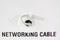 Intellinet ITP7-UTP-IC-CCA 305m Cat5e U/UTP (UTP) Grijs netwerkkabel