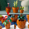 LEGO Icons Miniplantjes - Bouwset voor volwassenen - 9 modelplanten - Terracottakleurig