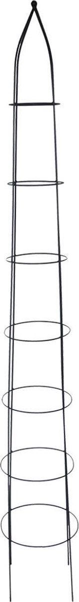 Esschert Design Plantensteun Piramide 180 Cm Staal Zwart