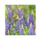 Annas collection - Buiten Canvas 58 x 58 cm Balkankwiksta