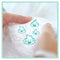 Pampers Premium Protection 81629463 Size 3, Nappy x200, 5kg-9kg
